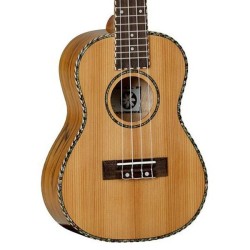 Eum praesentium consequatur voluptas rerum reprehenderit vero.