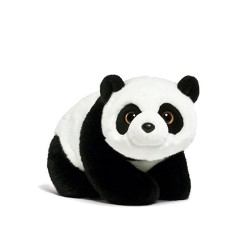 Ut qui nisi qui quidem commodi.